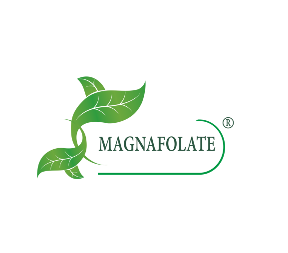 Magnafolate® ဆိုတာ ဘာလဲ။ Folate VS Folic Acid ကွာခြားချက်ကဘာလဲ။