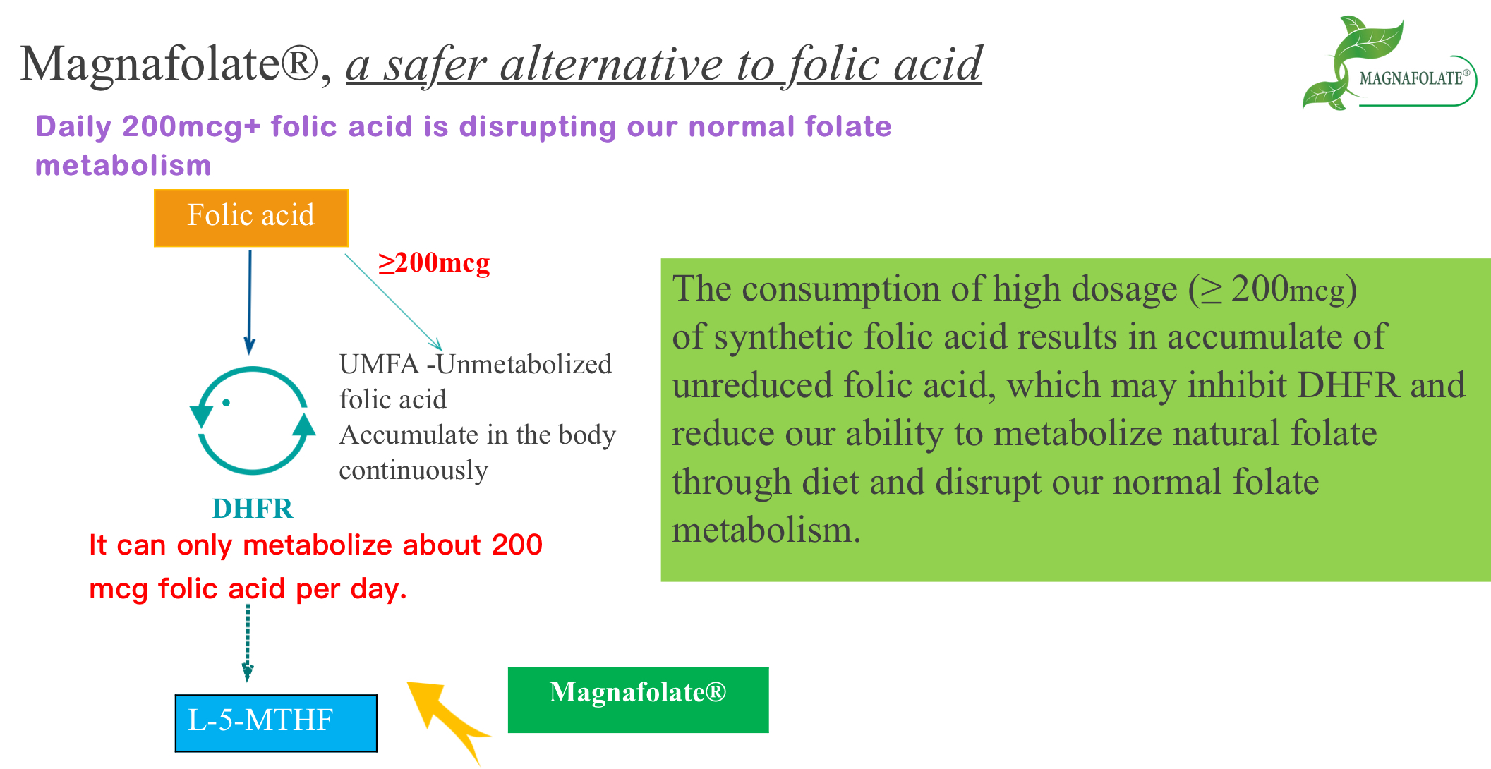 Magnafolate၊ Folic Acid ၏ ဘေးကင်းသော အစားထိုးနည်း