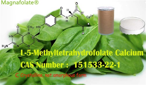 L-5-Methyltetrahydrofolate နှင့် ဖောလစ်အက်ဆစ် တူညီပါသလား။