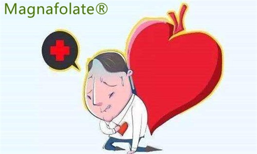 L-5-Methylfolate- လေဖြတ်ခြင်းနှင့် နှလုံးတိုက်ခိုက်ခံရနိုင်ခြေကို လျှော့ချပေးနိုင်သည်။