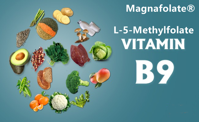 L-5-Methylfolate ဆိုတာဘာလဲ။