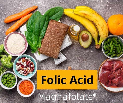 ဖောလိတ် (Folic Acid)—နိဒါန်းနှင့် လုပ်ဆောင်ချက်များ