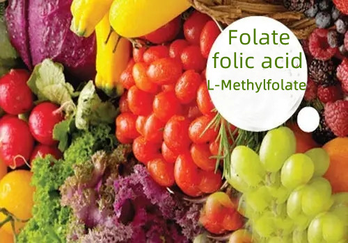 Folate (ဖောလစ်အက်ဆစ်) နှင့် L-Methylfolate