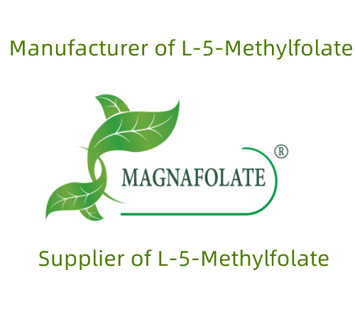 ခန္ဓာကိုယ်အတွက် L-Methylfolate ၏ အရေးပါမှု