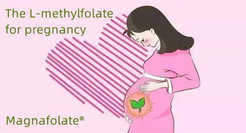 ကိုယ်ဝန်ရှိသူများတွင် Folate နှင့် L Methylfolate