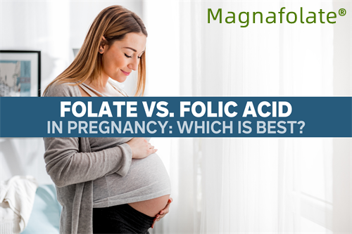 ဖောလစ်အက်ဆစ်နှင့် L-Methylfolate ဟူသည် အဘယ်နည်း။