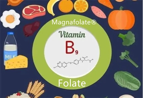 ဖောလစ်အက်ဆစ်၊ ဖောလိတ်နှင့် L Methylfolate