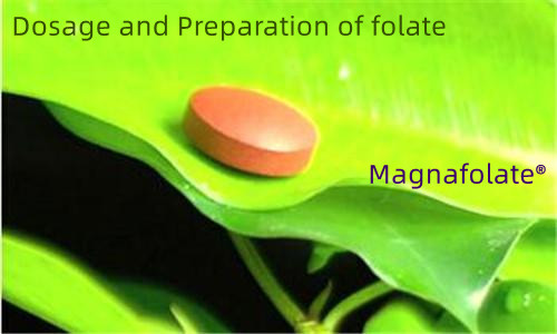 သောက်သုံးခြင်းနှင့် ဖောလိတ် သို့မဟုတ် L-Methylfolate ကို ပြင်ဆင်ခြင်း။