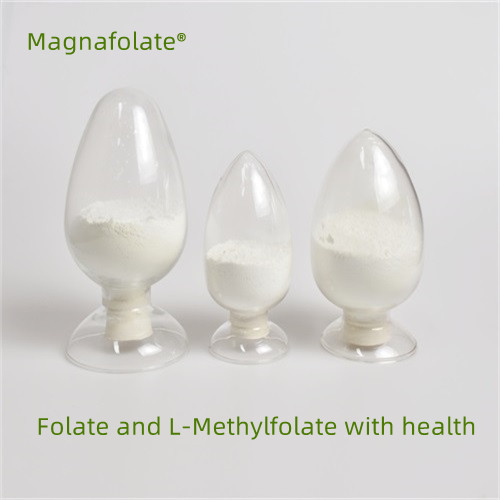 Folate နှင့် L-Methylfolate တို့သည် ကျန်းမာရေးနှင့် ညီညွတ်သည်။