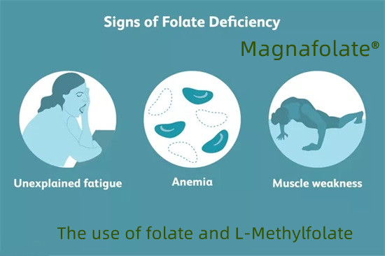 ဖောလိတ်နှင့် L-Methylfolate အသုံးပြုခြင်း။