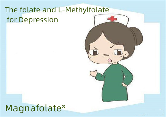 ဖောလစ်အက်ဆစ်နှင့် L-Methylfolate သည် စိတ်ကျရောဂါအတွက်ဖြစ်သည်။
