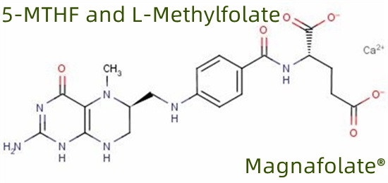 5-MTHF နှင့် L-Methylfolate