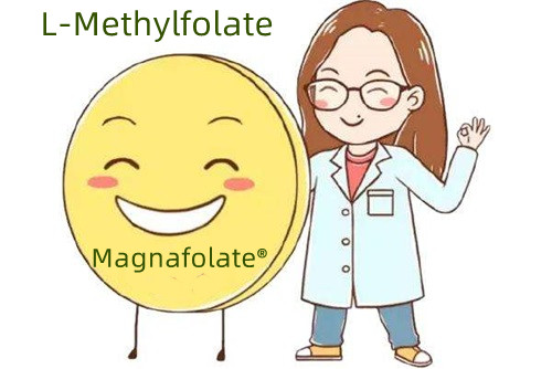 ဖောလစ်အက်ဆစ်နှင့် L-Methylfolate ၏ ဖြည့်စွက်အရင်းအမြစ်