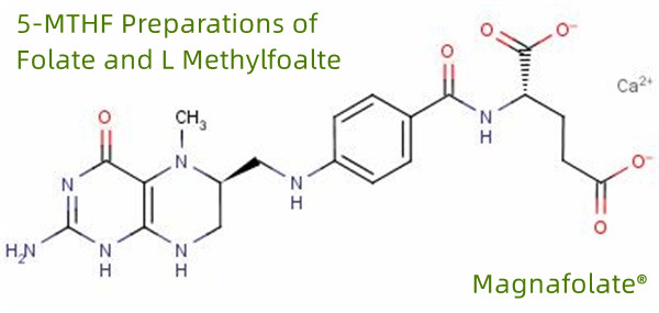 5-MTHF ဖောလိတ်နှင့် L Methylfoalte ပြင်ဆင်မှုများ