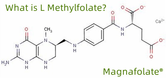 L-methylfolate ဆိုတာ ဘာလဲ