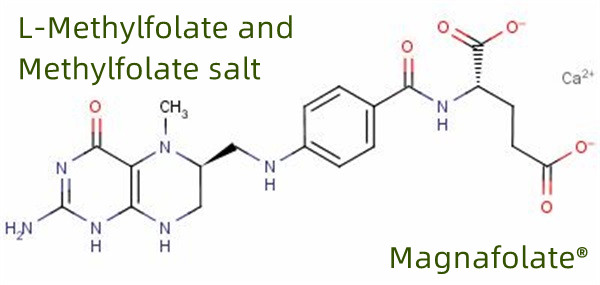 L Methylfolate ၏ ကမ္ဘာလုံးဆိုင်ရာ ထုတ်လုပ်သူနှင့် တင်သွင်းသူ