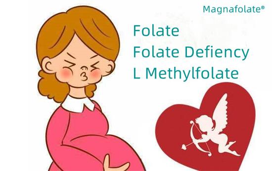 Folate နှင့် Folate ချို့တဲ့ခြင်း။