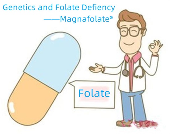 မျိုးရိုးဗီဇနှင့် Folate Defiency-Magnafolate