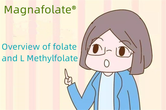 ဖောလိတ်နှင့် L Methylfolate ၏ ခြုံငုံသုံးသပ်ချက်