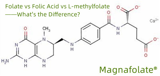 ဖောလိတ်နှင့် ဖောလစ်အက်ဆစ် နှင့် L-methylfolate ကွာခြားချက်က ဘာလဲ။