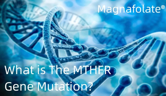 MTHFR Gene Mutation ဆိုတာဘာလဲ။