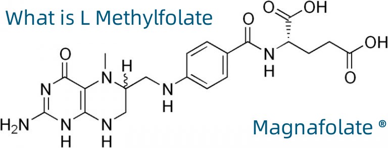 L Methylfolate ဆိုတာဘာလဲ။