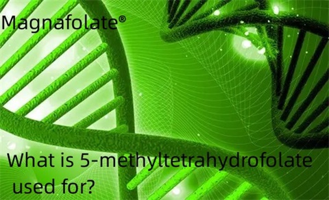 5-methyltetrahydrofolate ကို ဘာအတွက်အသုံးပြုသလဲ။