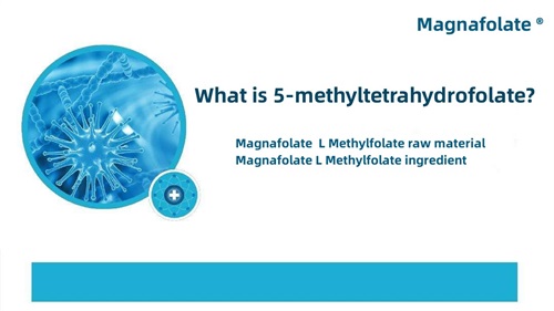 5-methyltetrahydrofolate ဆိုတာဘာလဲ။