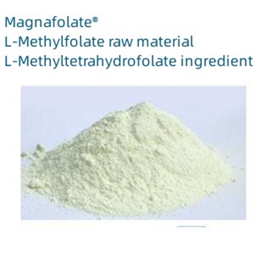 Calcium L-5-methylfolate အဓိက ကန့်သတ်ချက်များ နှင့် နိဒါန်း