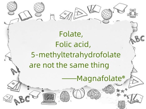 ဖောလိတ်၊ ဖောလစ်အက်ဆစ်နှင့် 5-methyltetrahydrofolate တို့သည် တူညီသော အရာမဟုတ်ပါ။