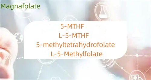 5-methyltetrahydrofolate နှင့် folate ကွာခြားချက်ကား အဘယ်နည်း