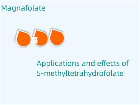 5-methyltetrahydrofolate ၏အသုံးချမှုနှင့်အကျိုးသက်ရောက်မှုများ