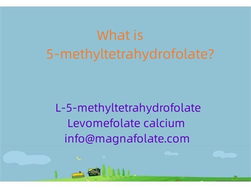 5-methyltetrahydrofolate ဆိုတာဘာလဲ။