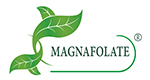 Magnafolate® နှင့် ဖောလစ်အက်ဆစ်