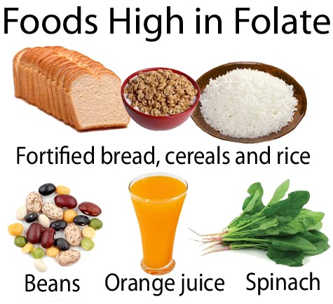 ဖောလိတ် အမျိုးအစားခွဲခြားခြင်း - Dietary Folate