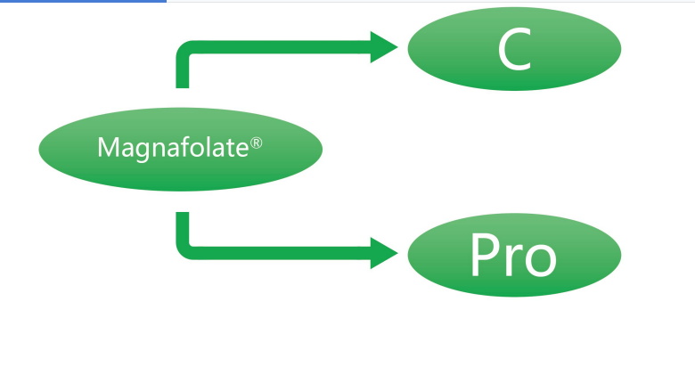 Magnafolate C နှင့် Pro—L-Methylfolate Calcium