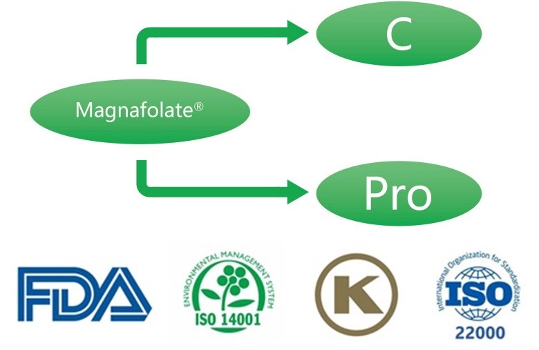 Calcium L-5-methyltetrahydrofolate ဆိုတာဘာလဲ။ ပေးသွင်းသူများသည် အဘယ်နည်း။