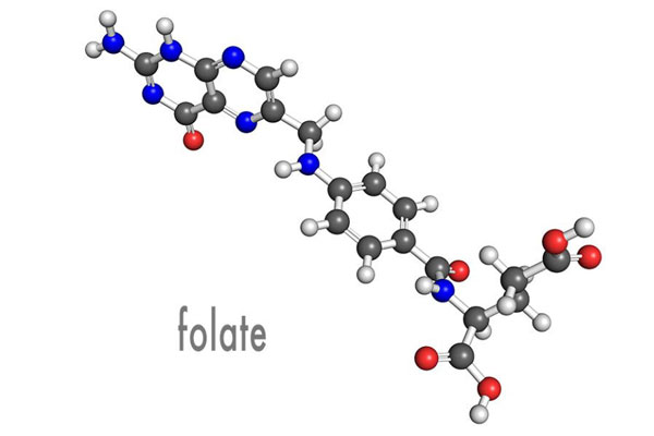 Active Folate အညစ်အကြေးများအကြောင်း စီးရီးမိတ်ဆက်