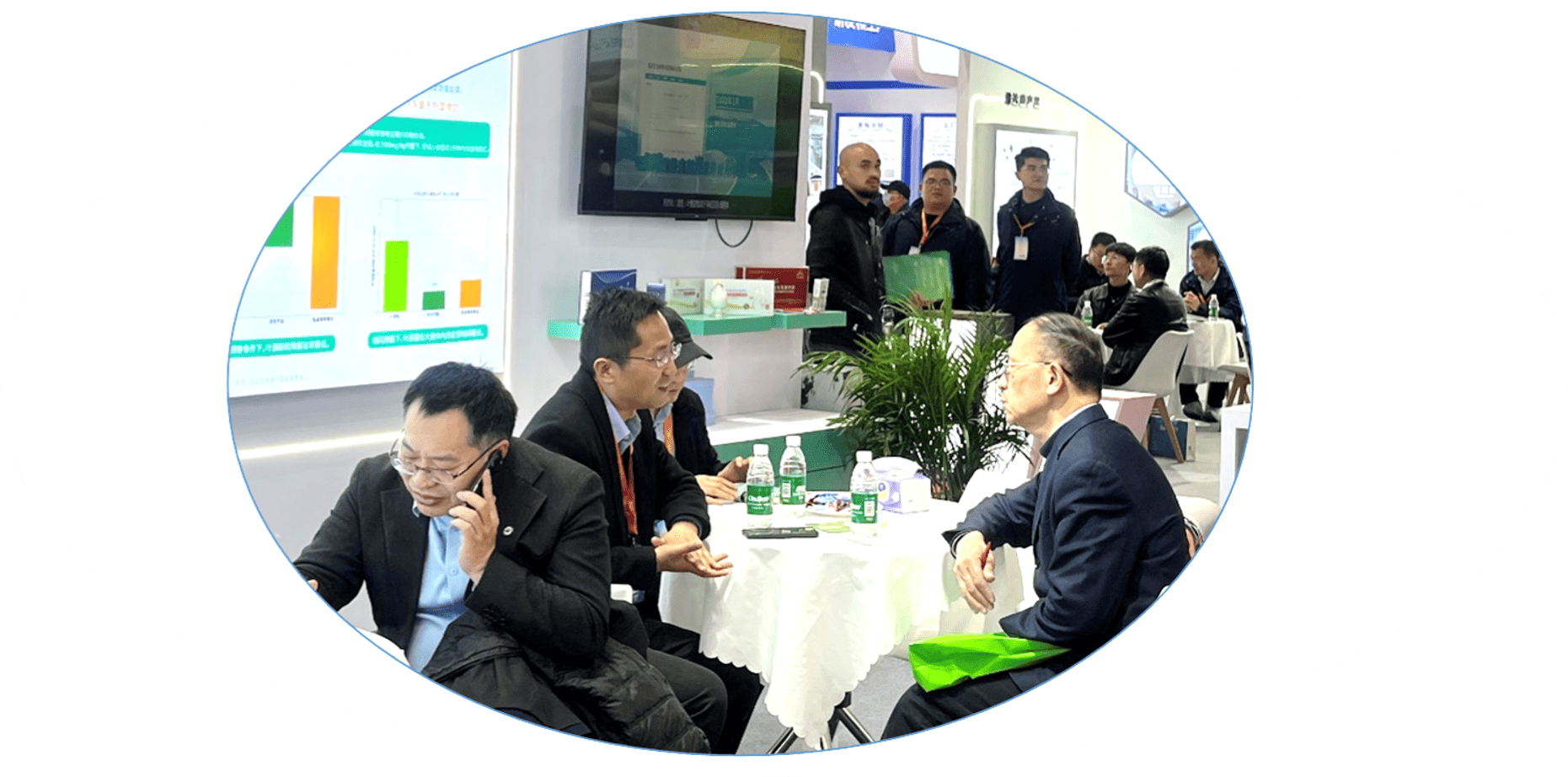 နွေ ဦး ရာသီစတင်ခြင်း, Magnafolate Leads | fic 2025 မှာ Jinkanghexin သို့ဆက်သွယ်ပါ